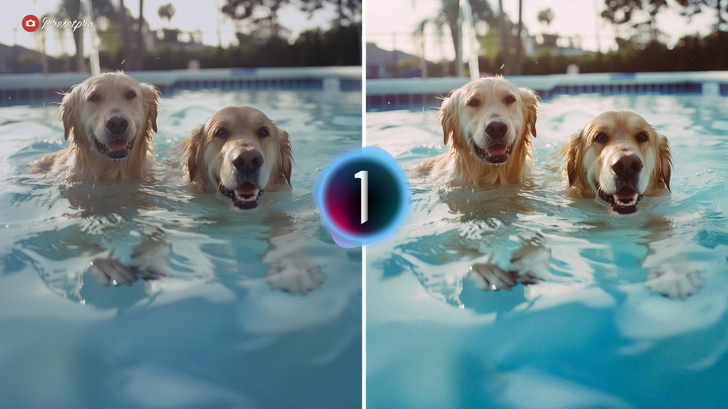 Free Capture One Style Film Simulation Before and After