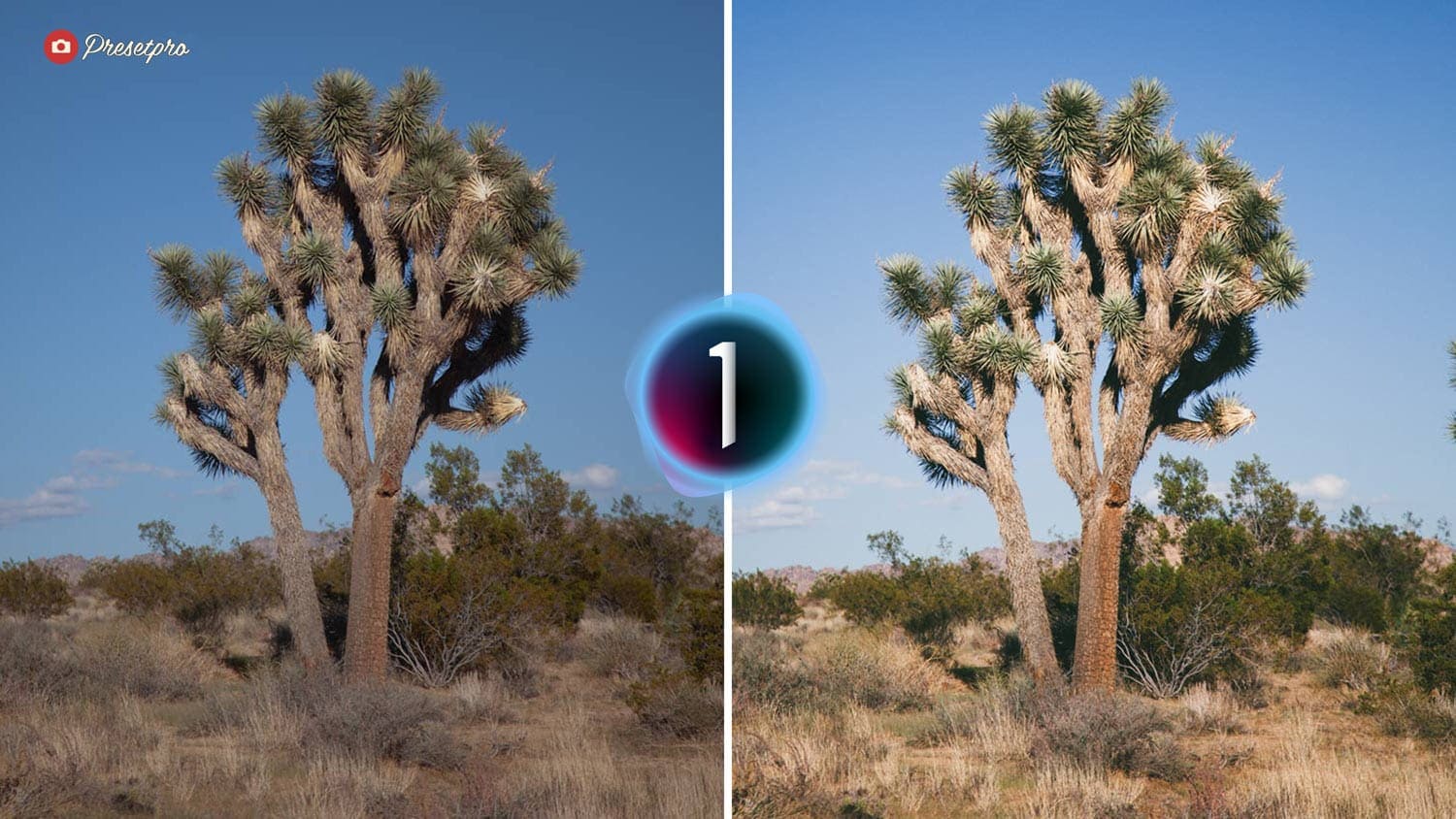 Free Capture One Style Negative Film Before and After Presetpro.