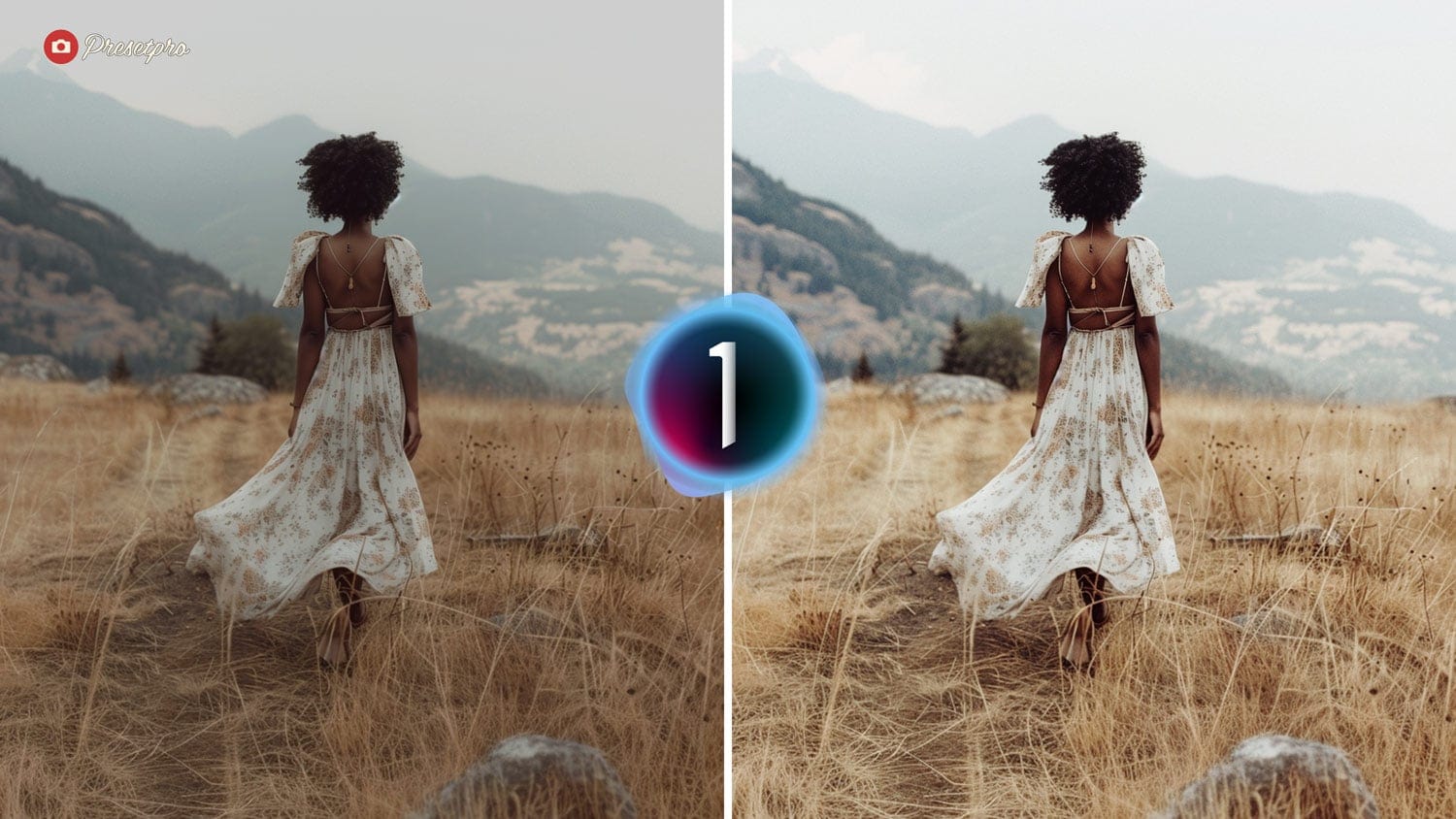 Free Capture One Style Vintage Grain Before and After Presetpro.