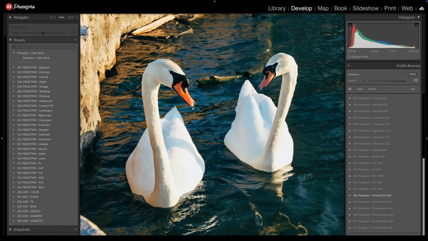 Landscape photo with vivid colors edited with Color Stock preset.