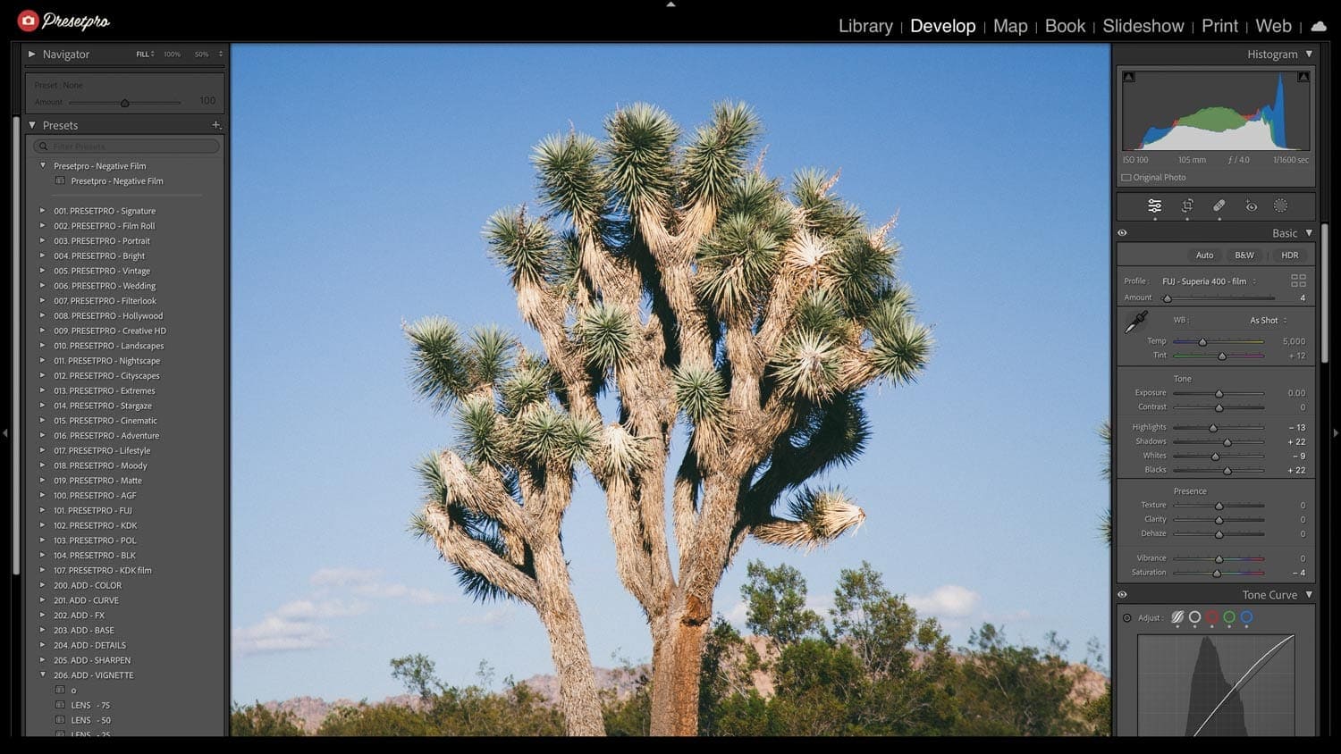 Street photo edited with Negative Film preset.