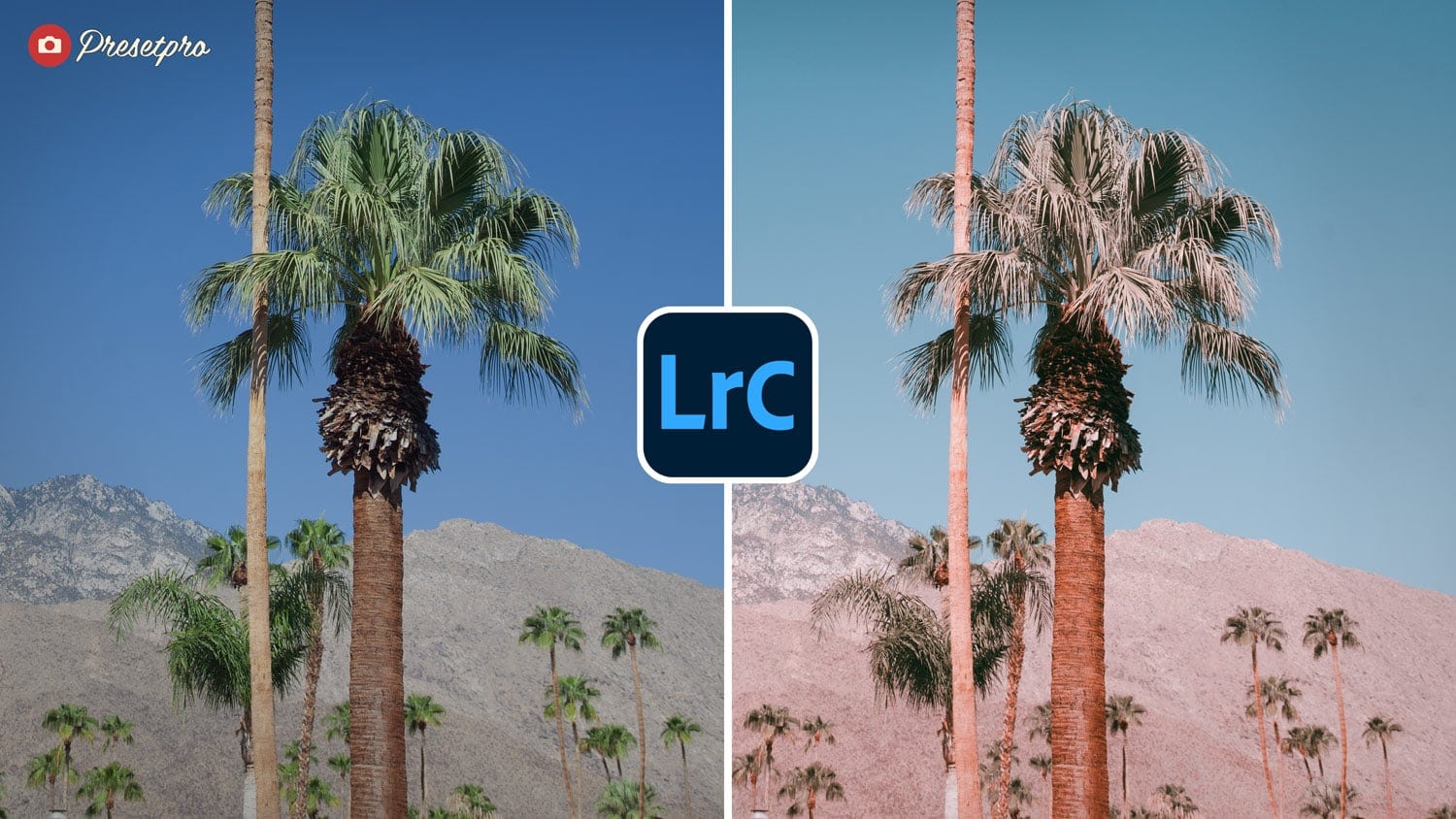 Bright desert landscape edited with Palm Springs preset.