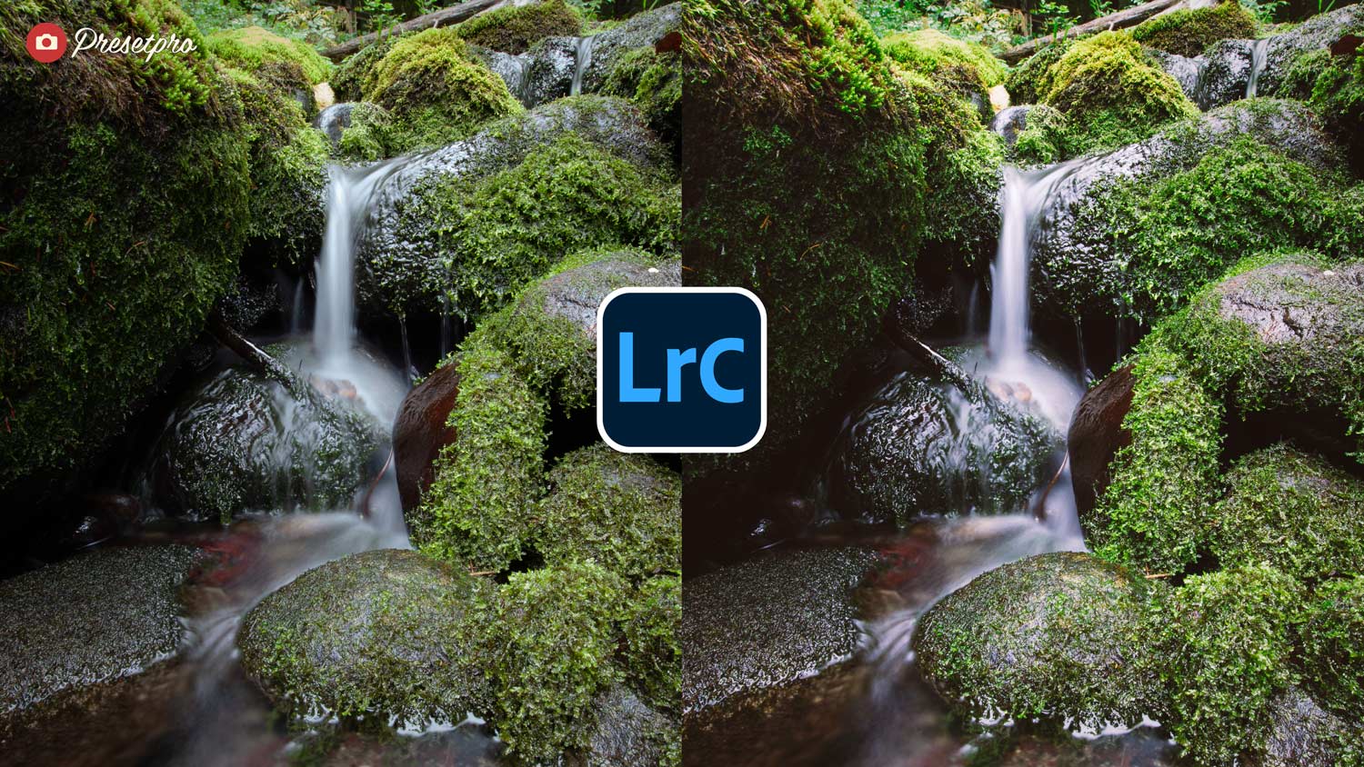 Free Lightroom Preset Velvia Film Before After Presetpro.com