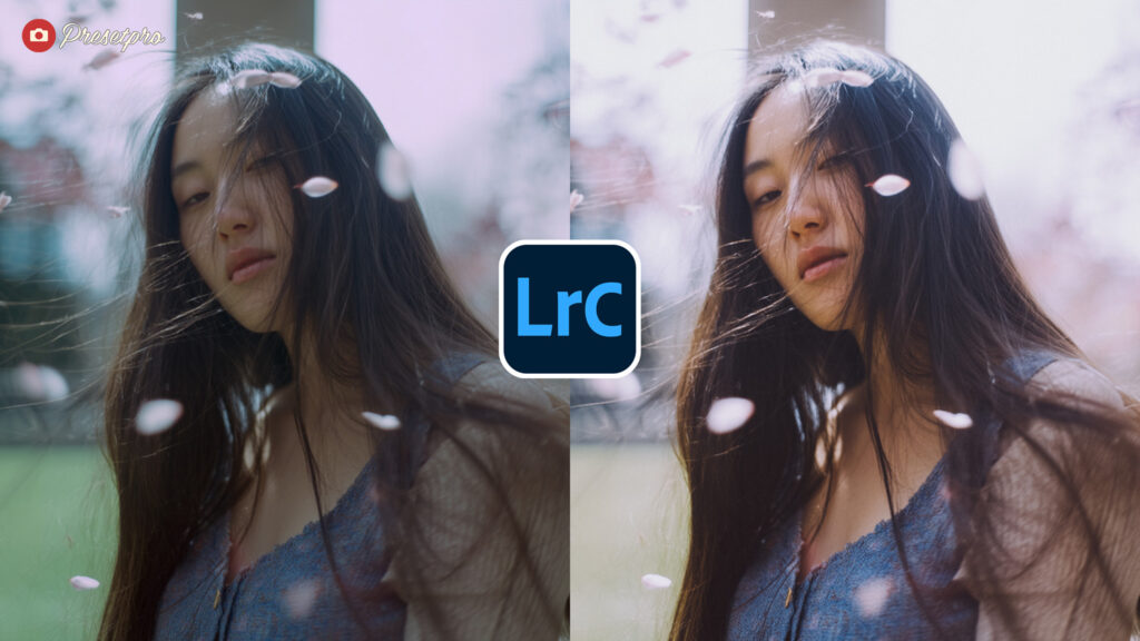 Side-by-side image of a woman with soft lighting and petals, showcasing the Retro Grade free Lightroom preset effect in Adobe Lightroom Classic.