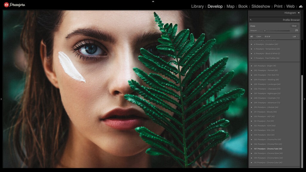 Vibrant portrait showcasing the Fujichrome Provia 400F Inspired Lightroom Preset’s rich colors and smooth highlight control.