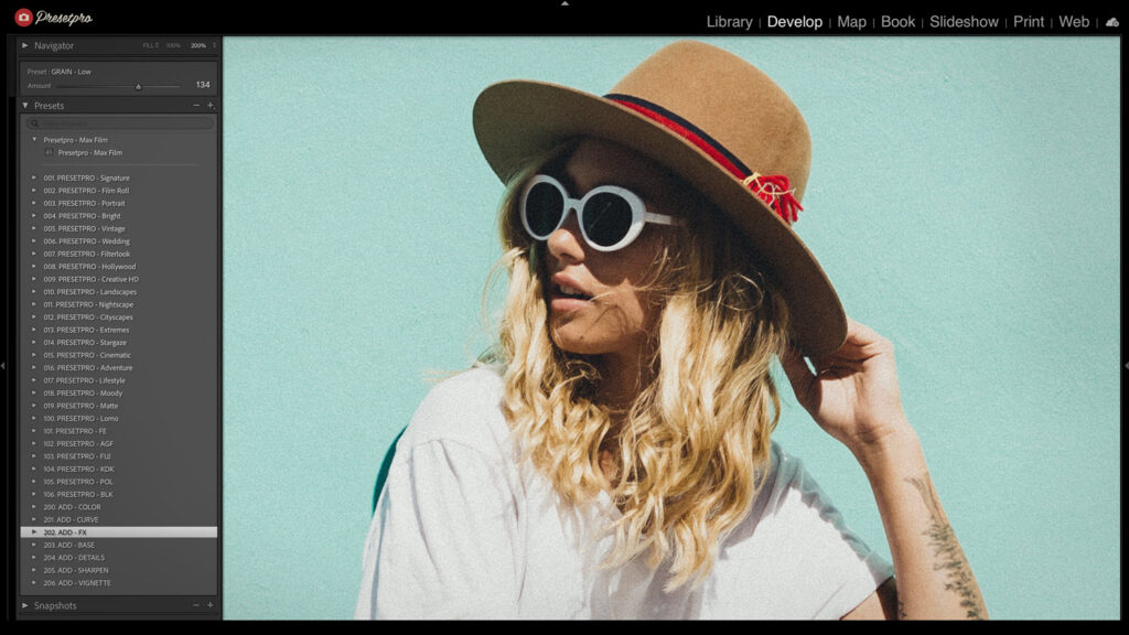Lightroom screenshot showing the Max Film preset inspired by Kodak Max 800 applied to a portrait photo