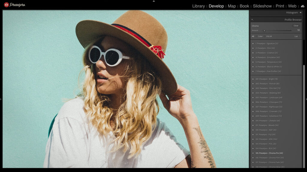Applying the Max Film Lightroom Preset in the Develop module of Lightroom