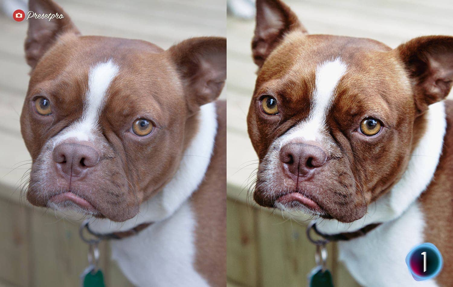 Before and after comparison using the Fuji Sensia 100 Inspired Capture One Style