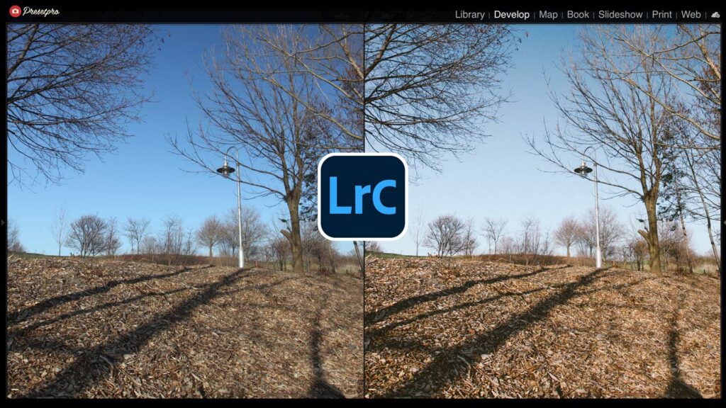 Before and After of Analog Film free Lightroom preset inspired by Kodak Portra 160.