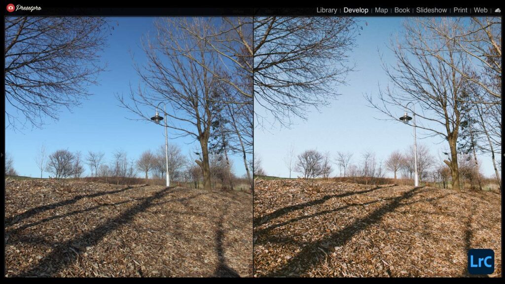 Stunning outdoor scene with trees, ground, and a clear blue sky enhanced by Lightroom presets.