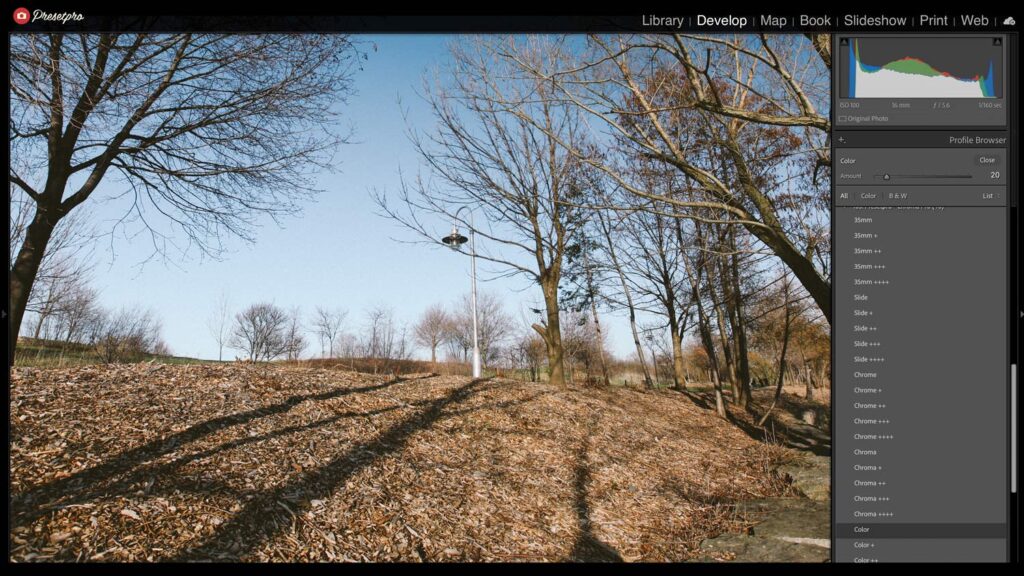 High-resolution photo of a park landscape with leafless trees and a clear blue sky.