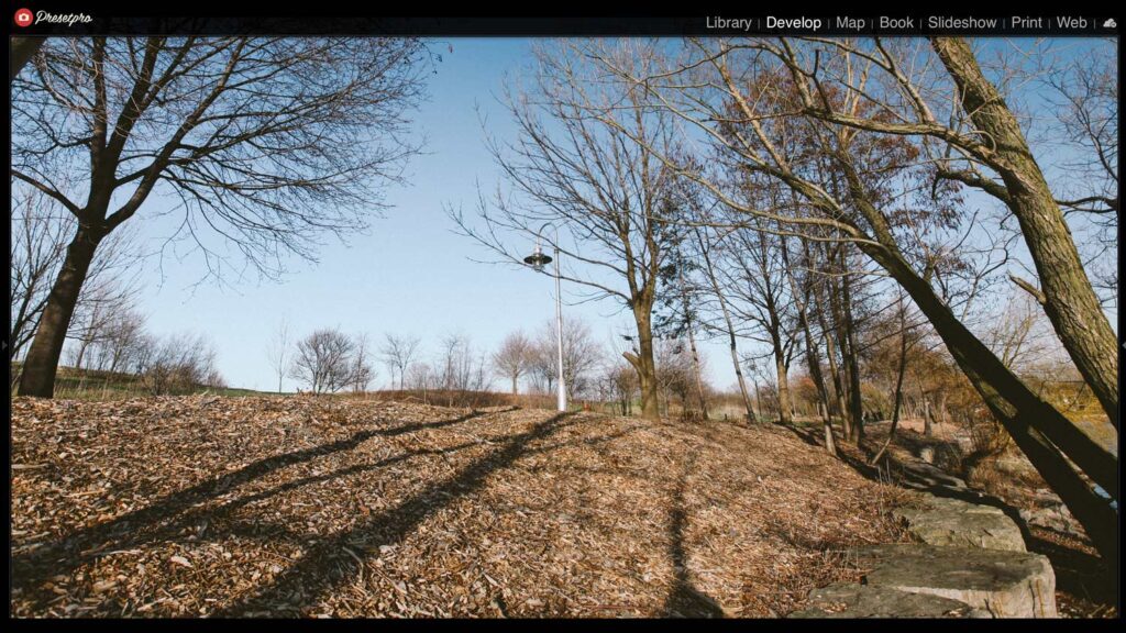 Beautiful outdoor landscape with trees, shadows, and a clear sky for nature photography.