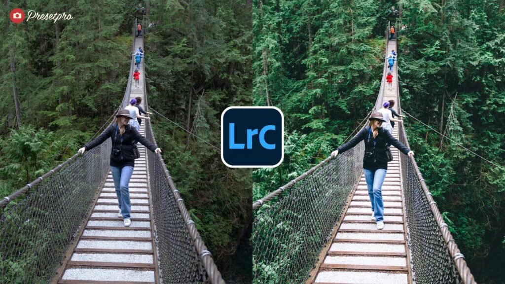 Before and after comparison using the Fuji Green Free Lightroom Preset inspired by Fuji Superia 100