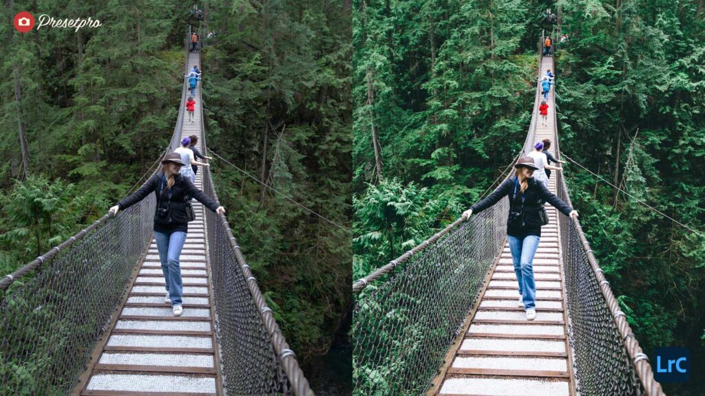 Before and after comparison showing the Fuji Green Lightroom Preset inspired by Fuji Superia 100 film