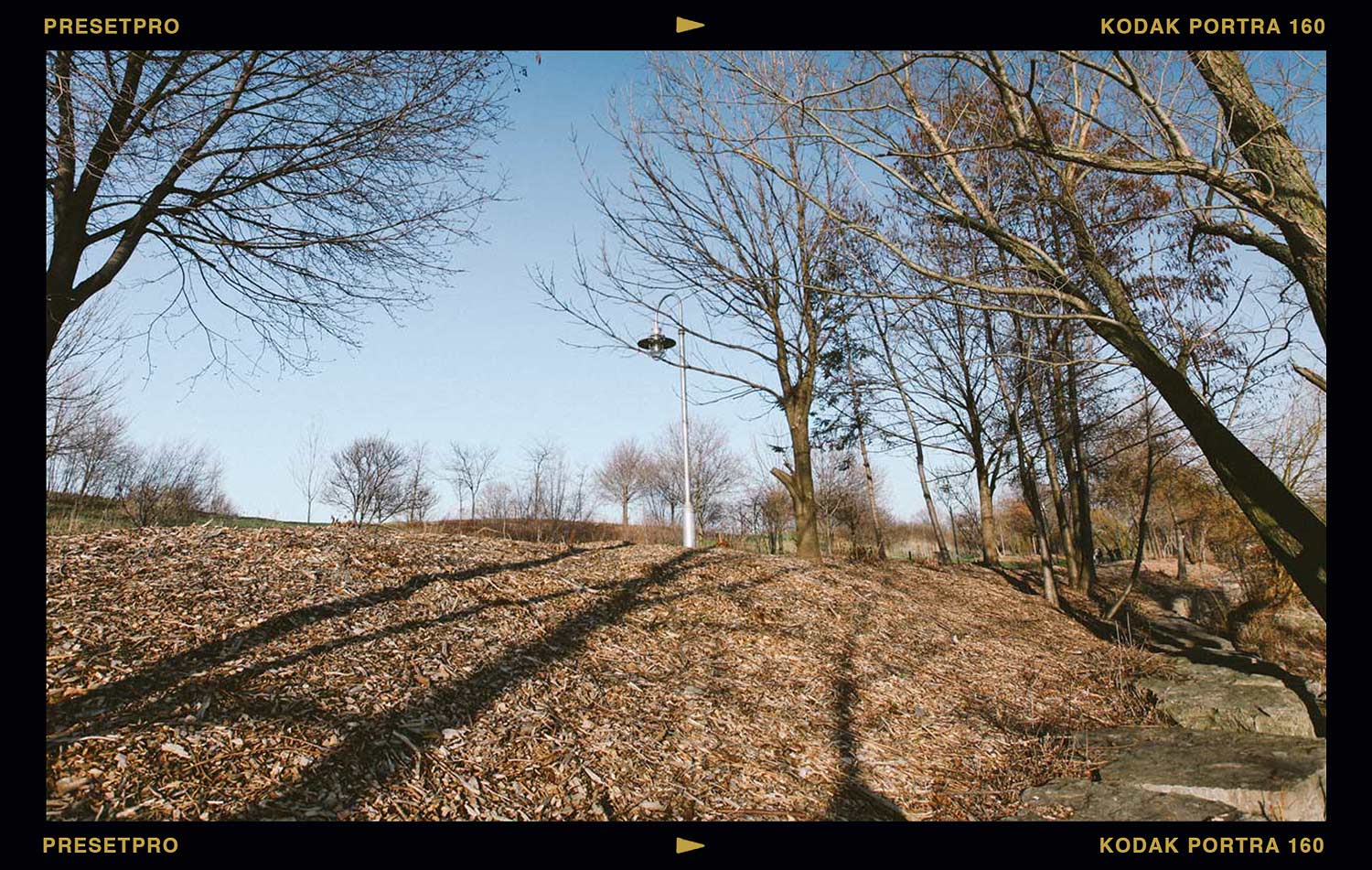 Free Lightroom Preset – Analog Film (Inspired by Kodak Portra