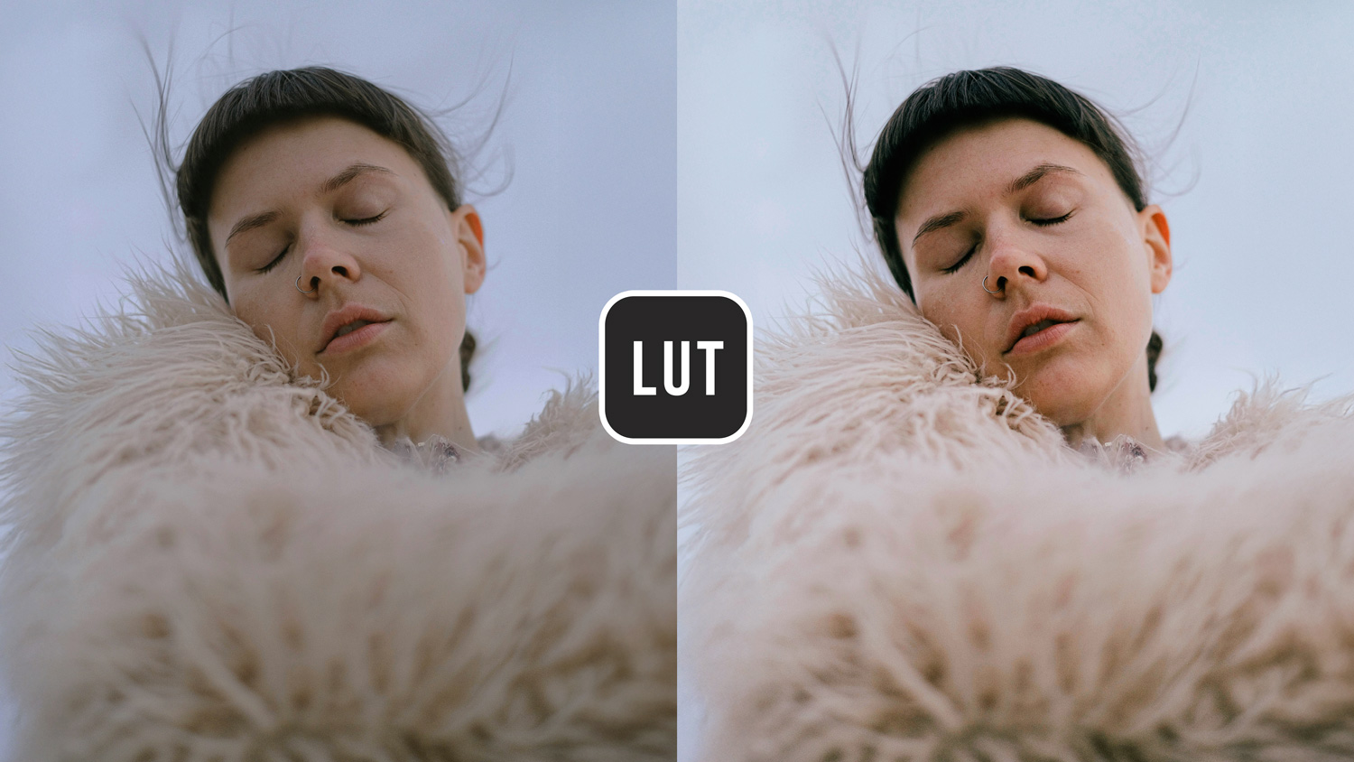 Free LUT Portra 400 Lookup Table