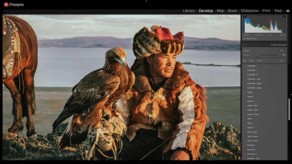 Screenshot of Adobe Lightroom Classic interface showing the 'Cinematic' profile being applied to a photo of a Mongolian eagle hunter at sunset. The Profile Browser panel on the right displays various Cinematic and Stock preset options.