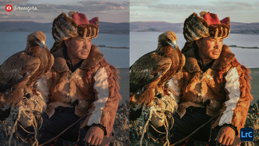 Cinematic Still Free Lightroom Preset before and after comparison featuring a Mongolian eagle hunter and golden eagle at sunset.