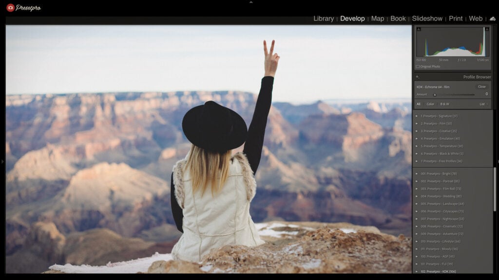 Woman in black hat at Grand Canyon, showing hand sign with landscape background.