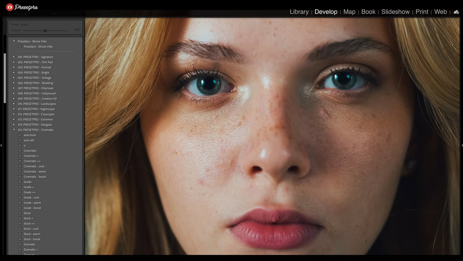 Screenshot of the Lightroom Classic Develop module showing the Movie Vibe preset selected in the Presetpro Cinematic folder.