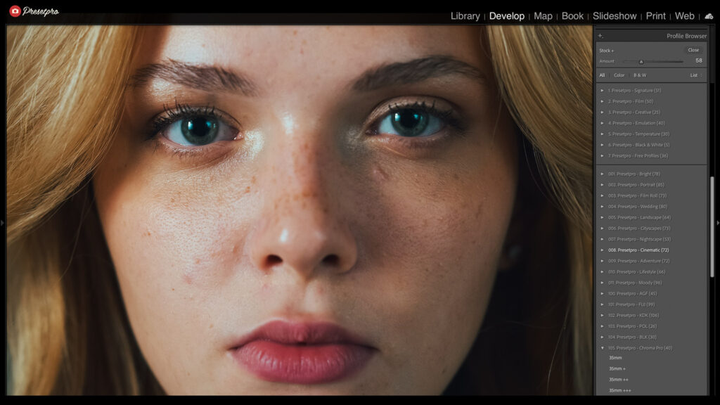 Adobe Lightroom Classic interface showing the Profile Browser with Cinematic and Chroma Pro film options.