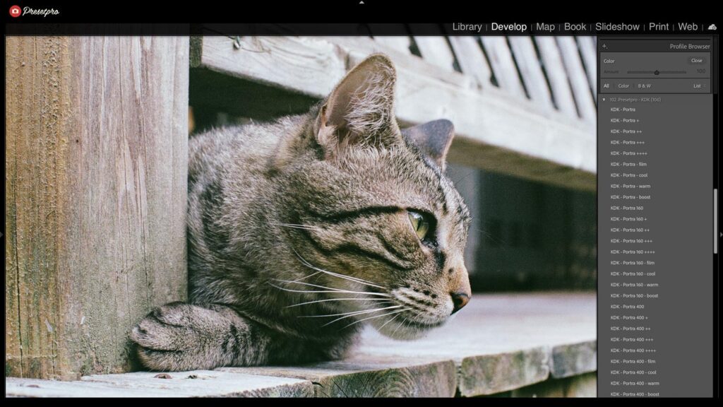 Free Lightroom Preset Portra Color Before After Presetpro.com