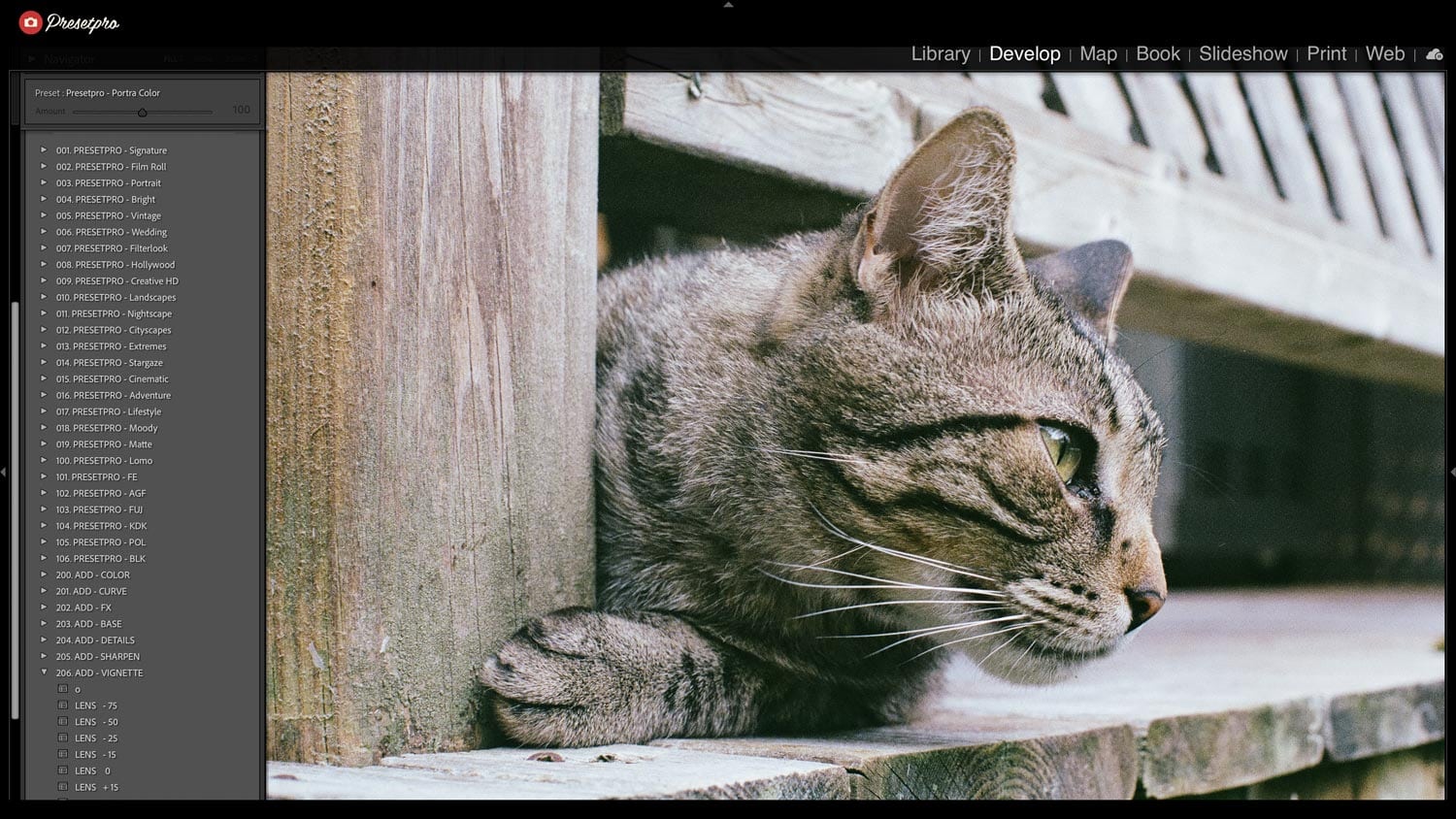 Adobe Lightroom Classic workspace showing the Portra Color preset selected in the sidebar presets panel for a cat portrait.