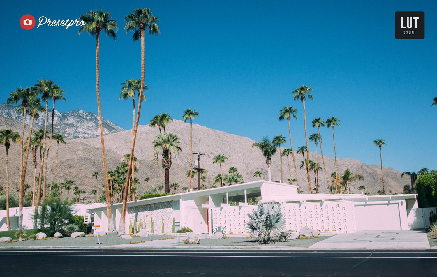 Free LUTs Palm Springs Lookup Table