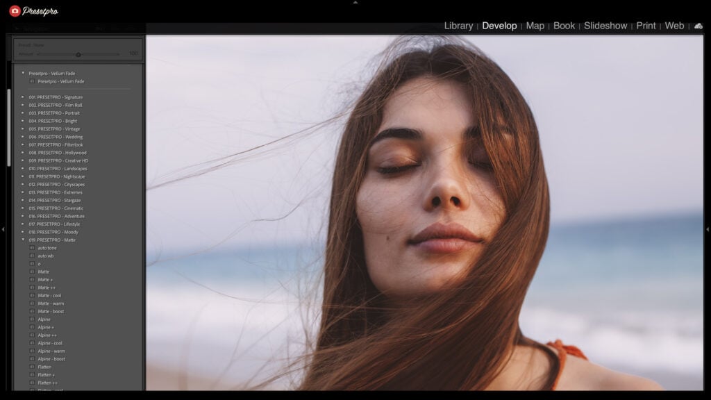 Adobe Lightroom Classic interface showing the Vellum Fade preset selected in the Presetpro menu.