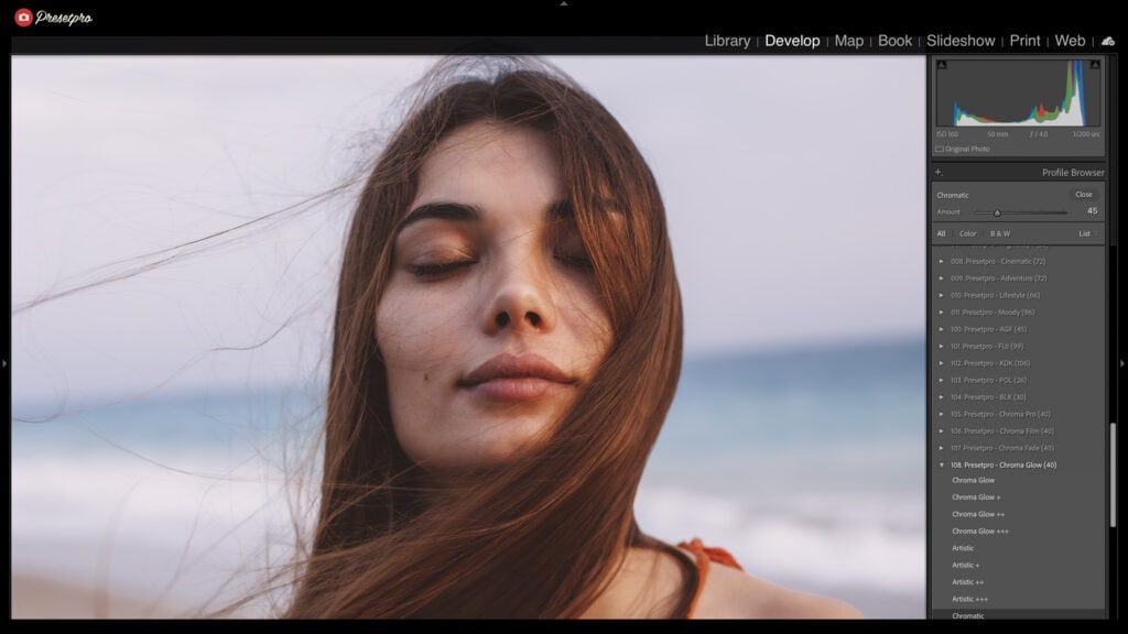 Lightroom Profile Browser showing the Chromatic Profile slider used to create the professional Vellum Fade look.