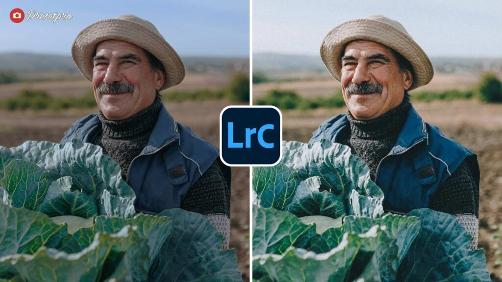 A split-screen before and after comparison showing a man farming in an outdoor agricultural field. The edited side demonstrates a Lightroom preset inspired by the Fuji Superia 100 film, showcasing vivid greens and rich analog warmth.