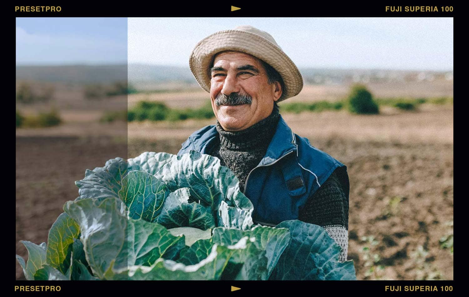 A split-screen editing comparison styled within a classic film frame inspired by analog photography, showing a smiling man in a hat holding a large green cabbage in a field. The edited side demonstrates the Superia 100 Lightroom preset, inspired by vivid greens and rich analog warmth.