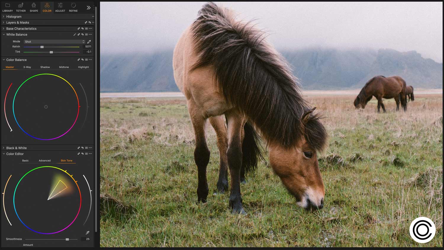 Capture One software interface displaying the Color Balance and Color Editor tools on the left. The Analog Color style is applied to a photograph of a brown horse grazing in a misty mountain landscape, showcasing beautifully preserved textures and rich analog warmth