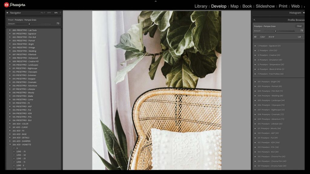 Pampas Grass free Lightroom preset applied to a boho interior photo in Adobe Lightroom Classic develop module showing wicker chair and tropical leaves with warm earthy tones by Presetpro