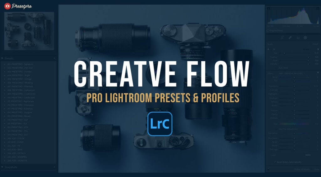 The Creative Flow — PresetPro's complete Lightroom preset and profile collection, shown inside the Lightroom Classic Develop module