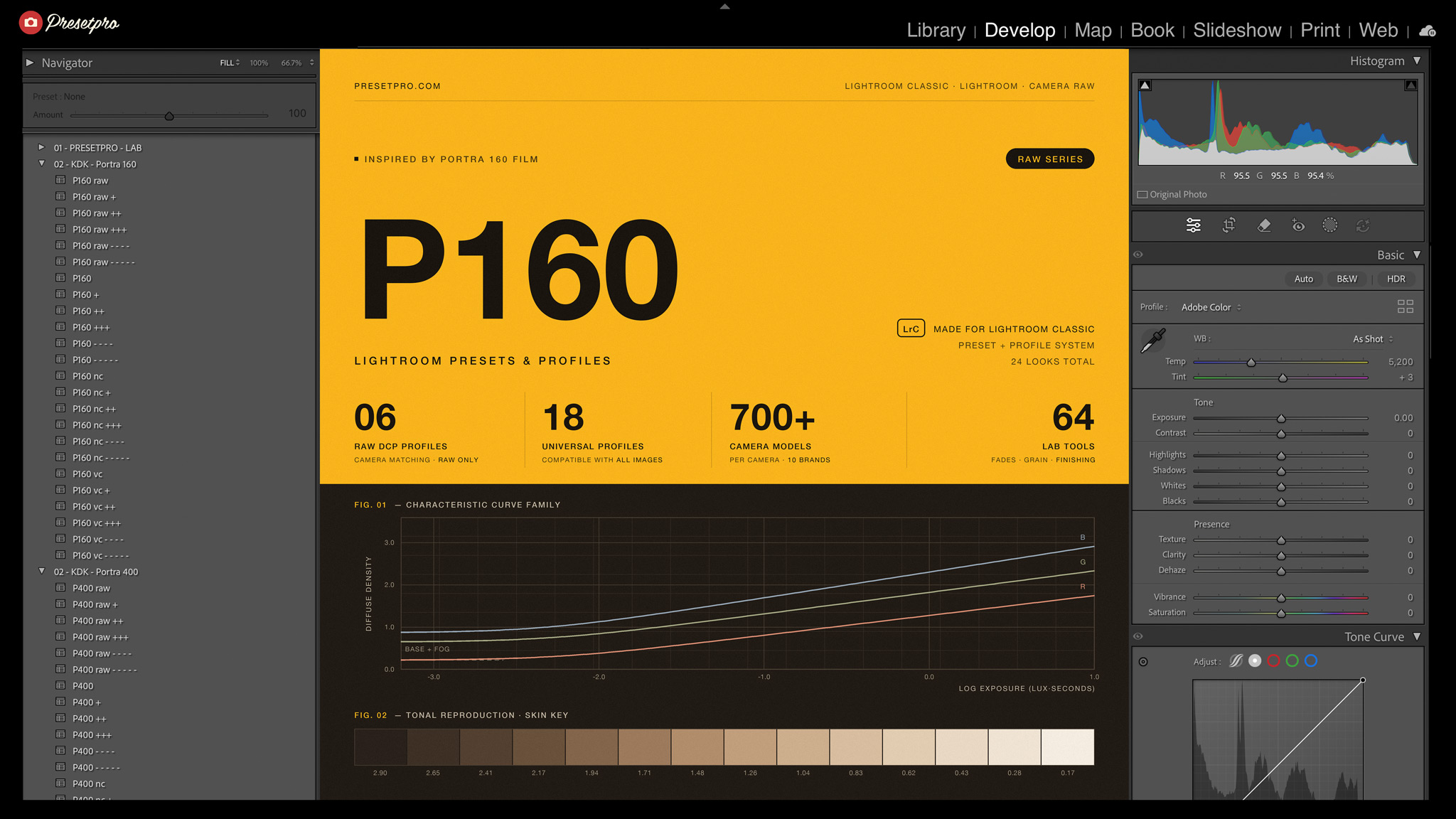 Lightroom Classic presets panel showing the RAW Series P160 group with 24 looks: six raw looks and eighteen universal looks