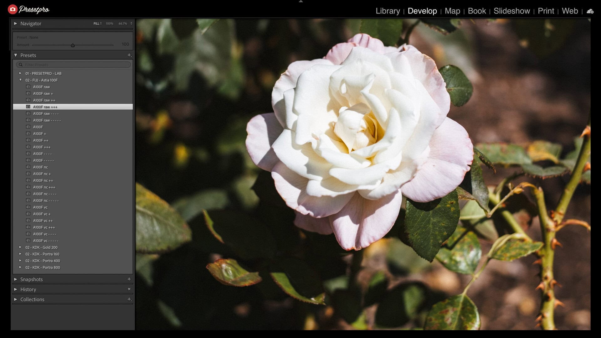 Lightroom Classic presets panel with the RAW Series A100F group open on 24 Astia 100F inspired looks and the A100F raw +++ row highlighted
