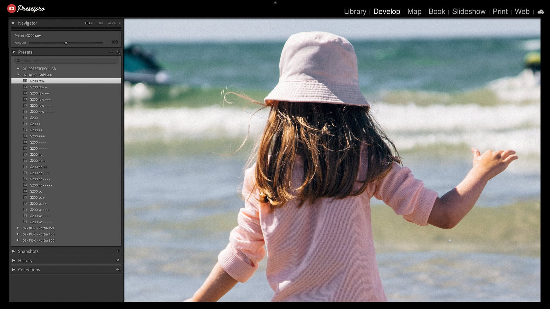 Lightroom Classic presets panel with the RAW Series G200 group open on 24 Gold 200 inspired looks and G200 raw applied