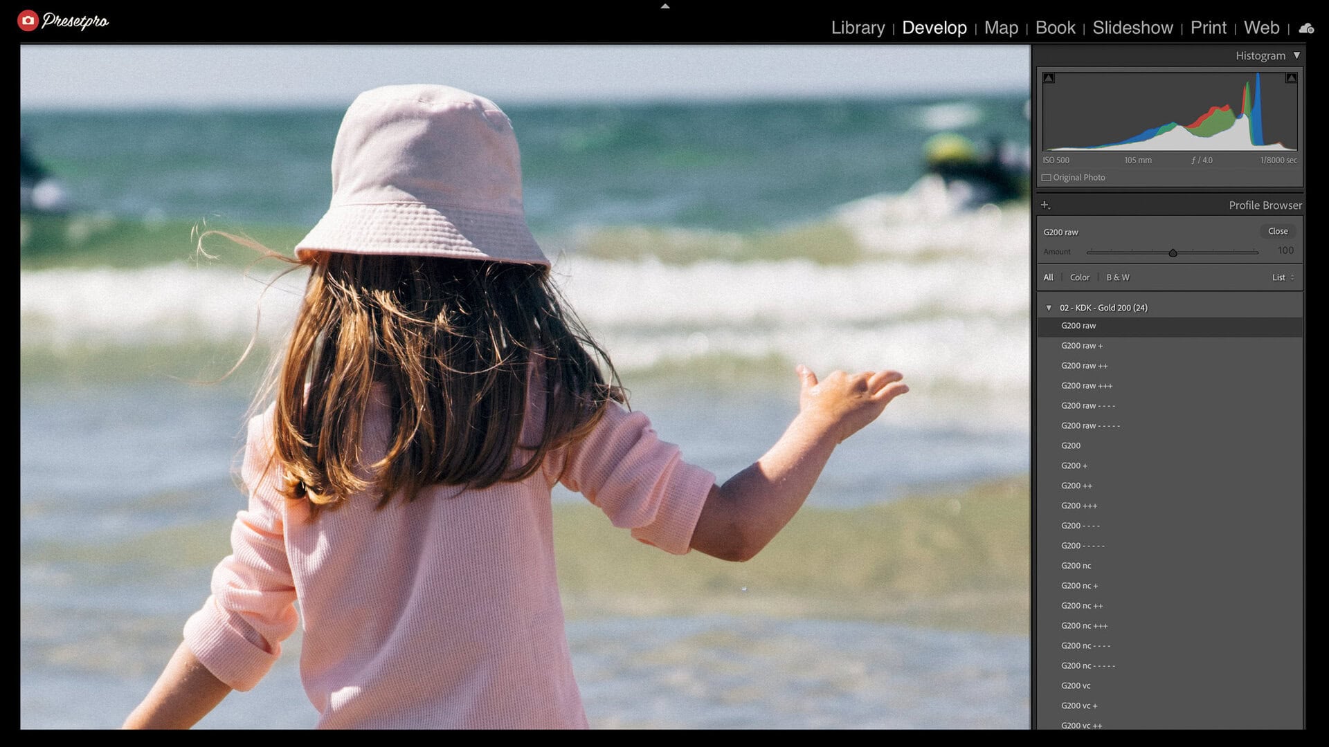 Lightroom Classic Profile Browser open on the 02 - KDK - Gold 200 group, showing the G200 raw camera profiles and the universal looks