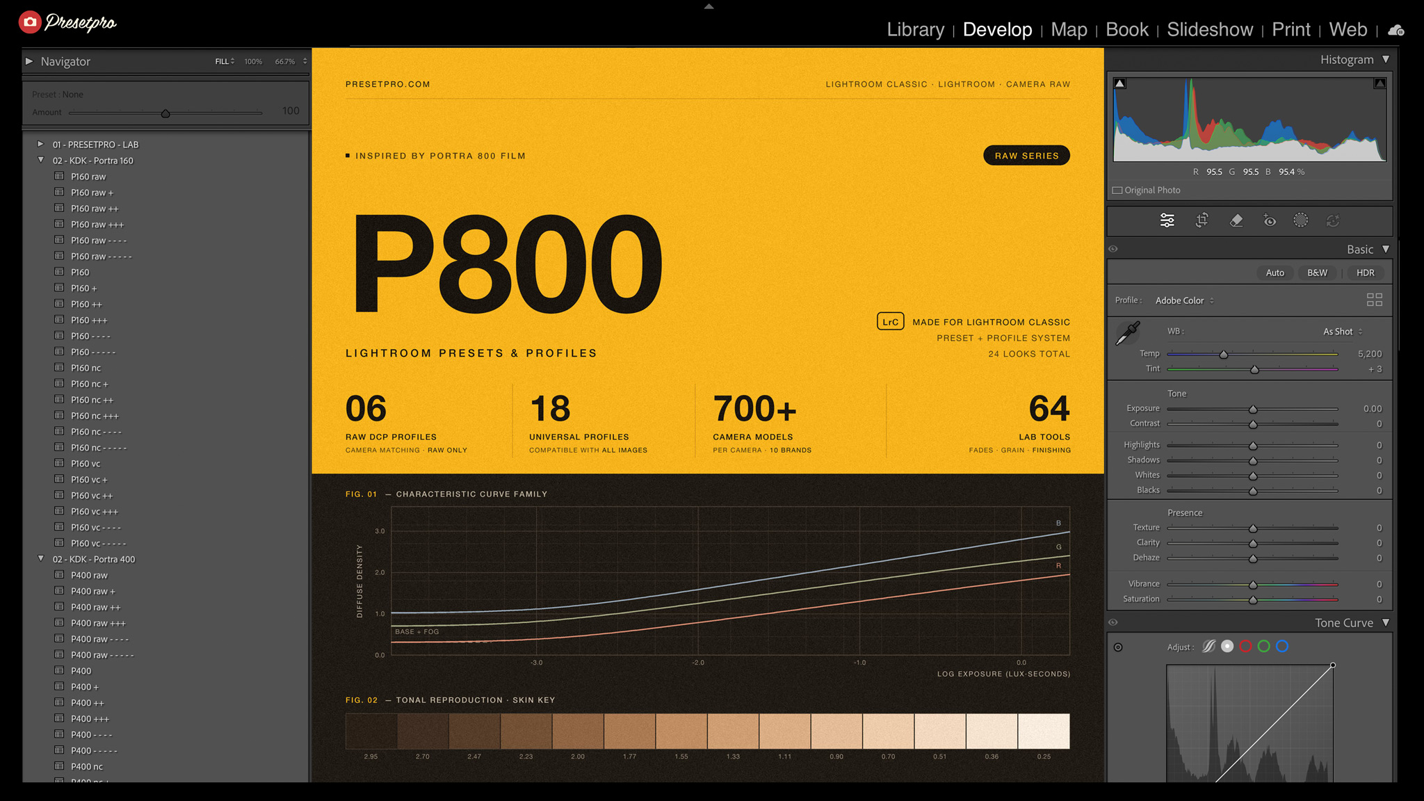 Lightroom Classic presets panel showing the RAW Series P800 group with 24 looks: six raw looks and eighteen universal looks