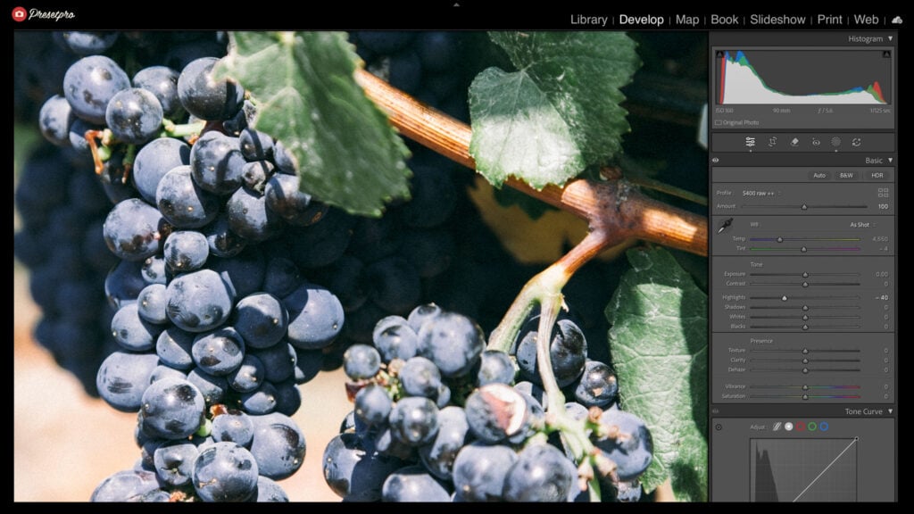 Lightroom Classic Develop panel with S400 raw ++ at Amount 100 on blue wine grapes, every slider at zero except Highlights at minus 40