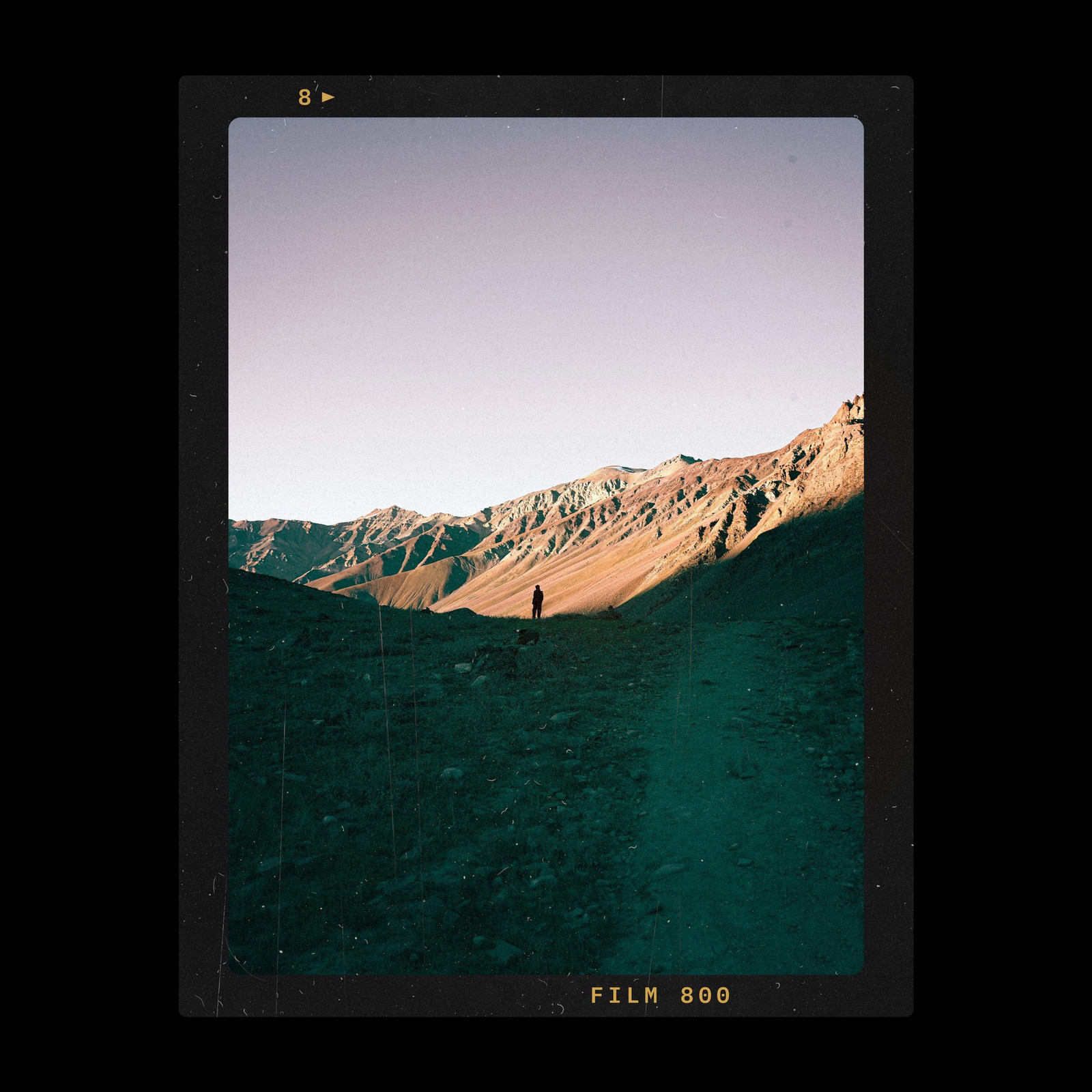 The 6x4.5 Single Photoshop template from Film Frame Templates Pack 03, Medium Format, shown with demo photos in its frames