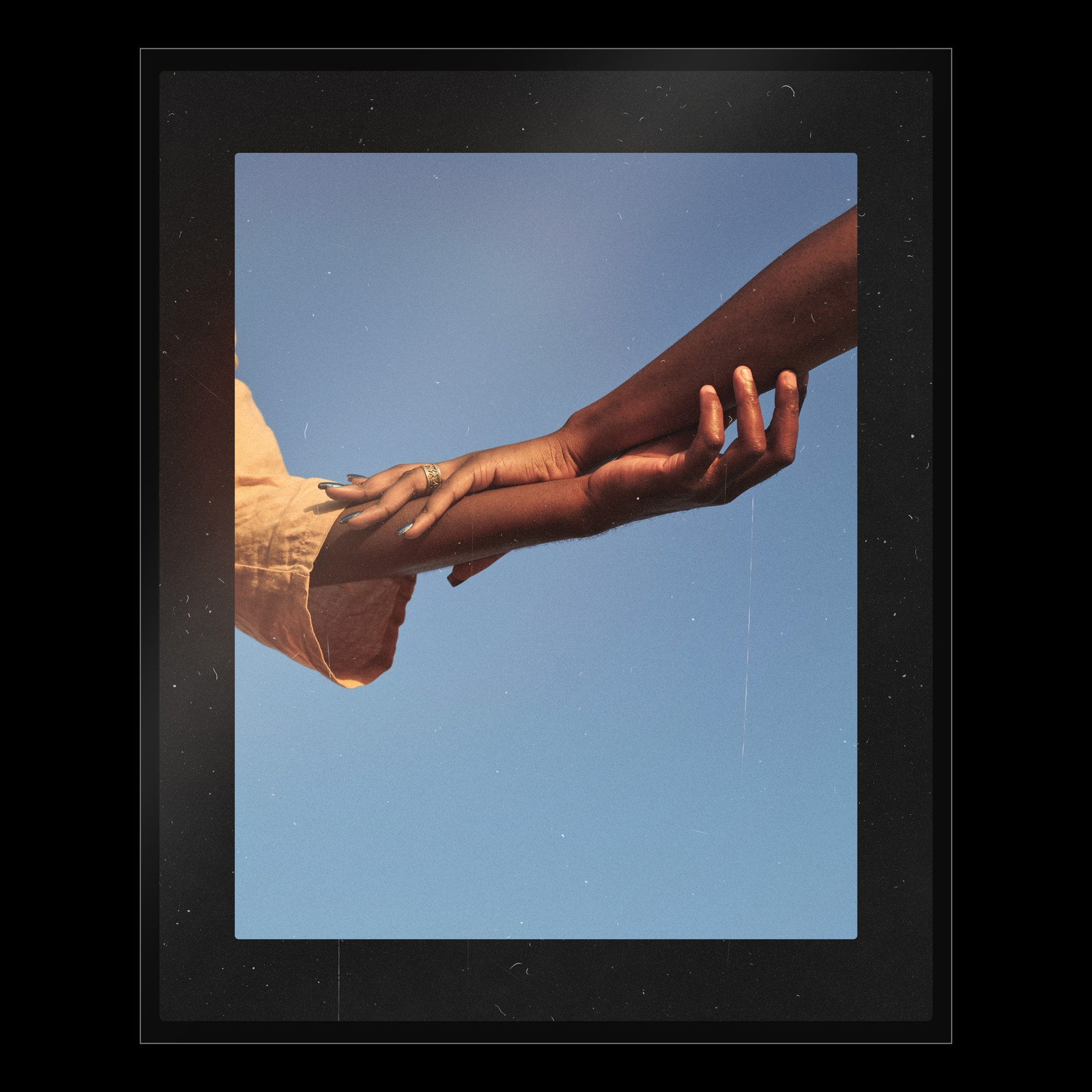 The 4x5 Transparency Photoshop template from Film Frame Templates Pack 06, Slides, shown with demo photos in its frames