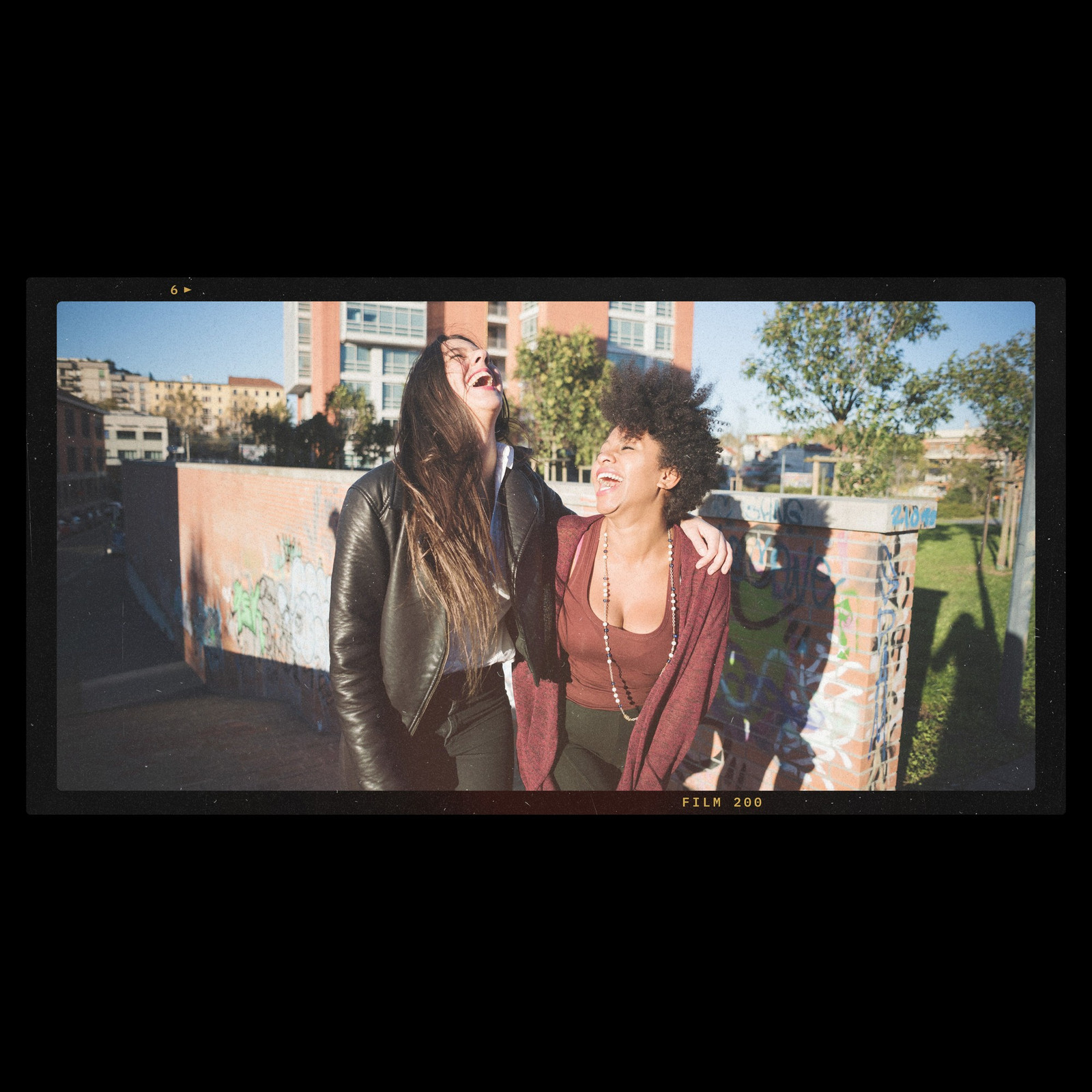The 6x12 Panorama Photoshop template from Film Frame Templates Pack 08, Panoramic & Large Format, shown with demo photos in its frames