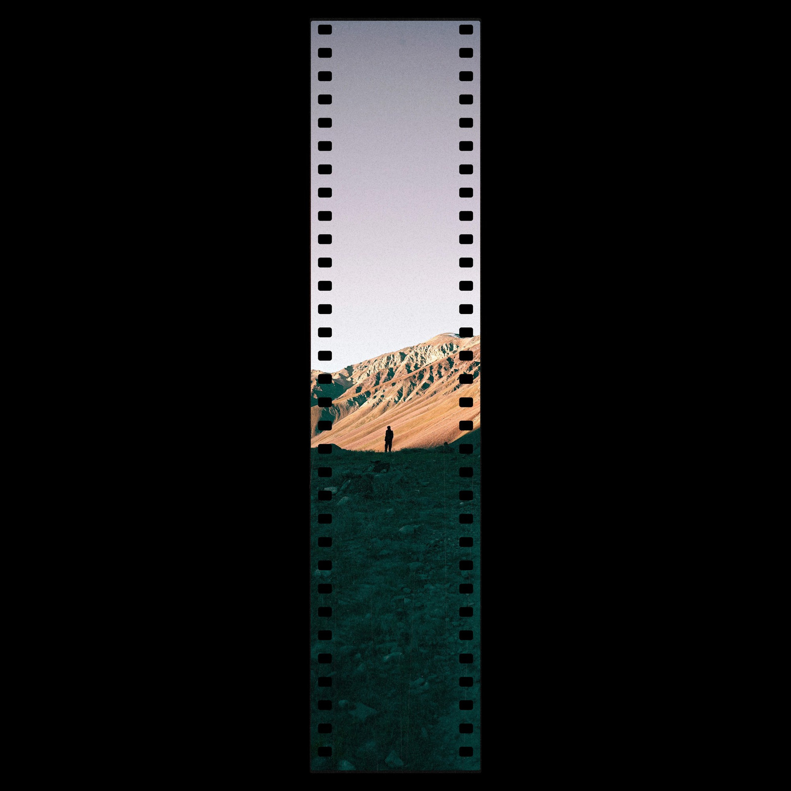 The Sprocket Panorama Vertical Photoshop template from Film Frame Templates Pack 08, Panoramic & Large Format, shown with demo photos in its frames