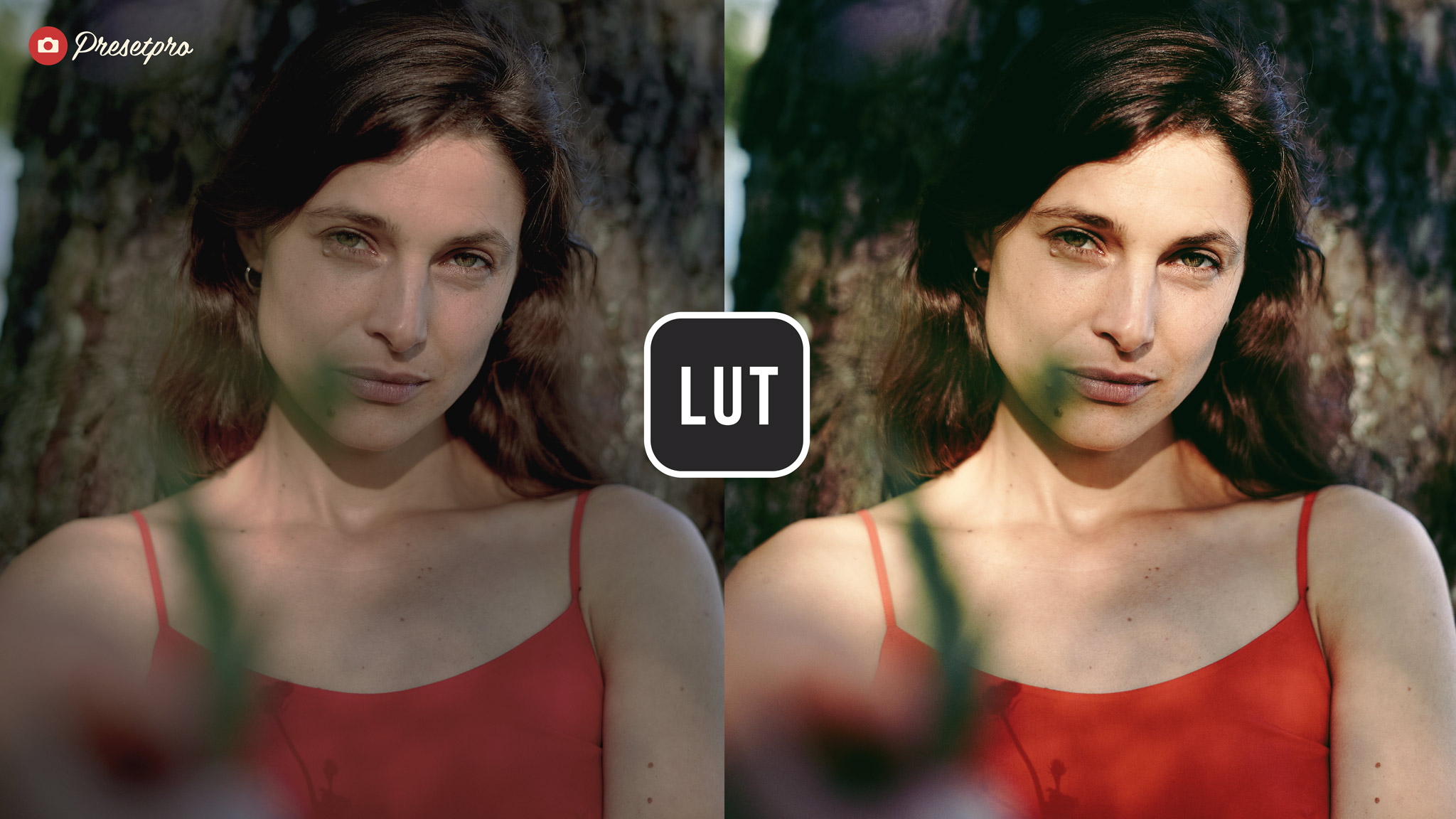 Before and after the Fuji Portrait free LUT on a woman in a red top, with brighter golden skin and deep green shadows after