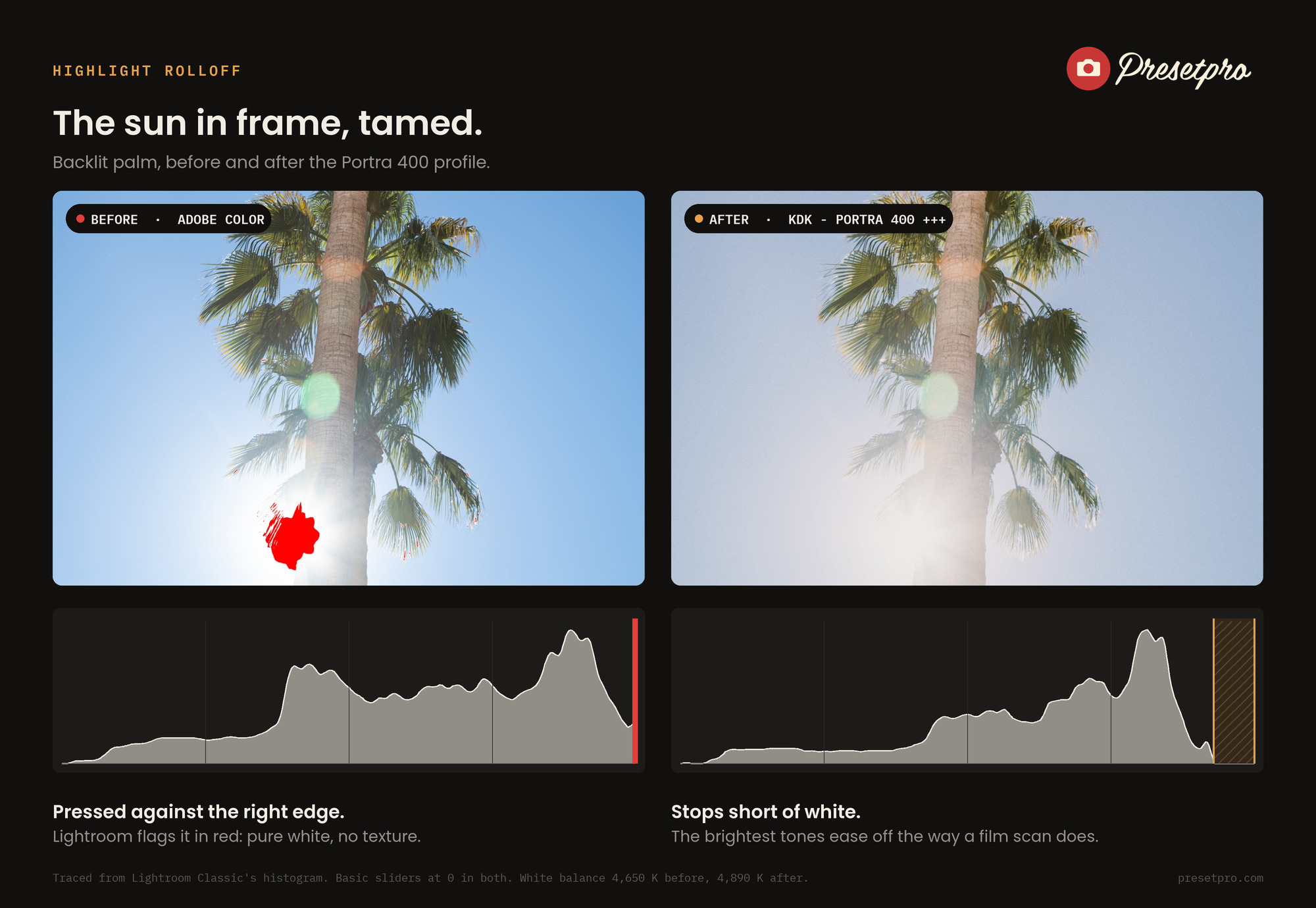Before and after of a backlit palm tree in Lightroom Classic, Adobe Color with a red clipping warning on the sun versus the Portra 400 profile, with traced histograms showing the highlights stopping short of white